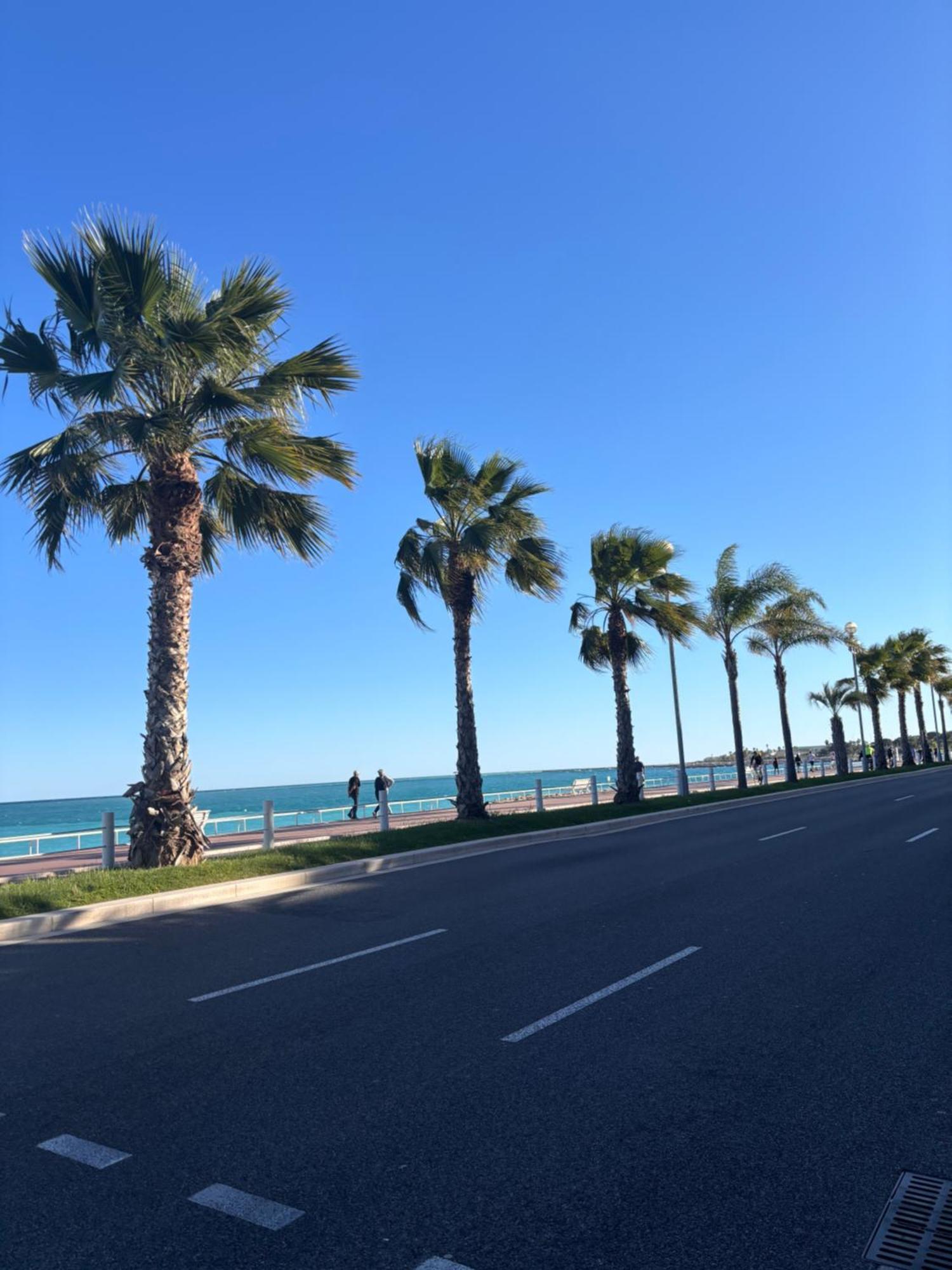 Grand Studio De 30 M2 Promenade Des Anglais ニース エクステリア 写真